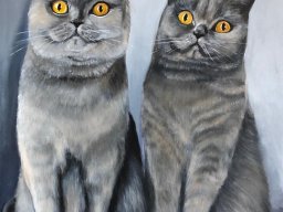 Katzen 50x70cm